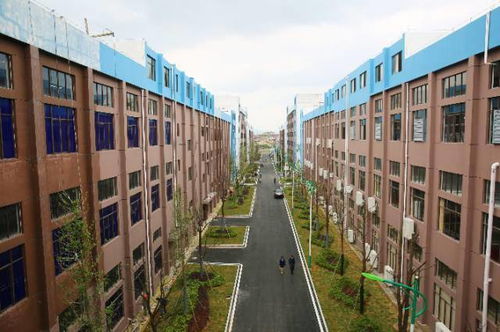 寧鄉造 匠心獨運，讓你‘秀’出滿身氣質